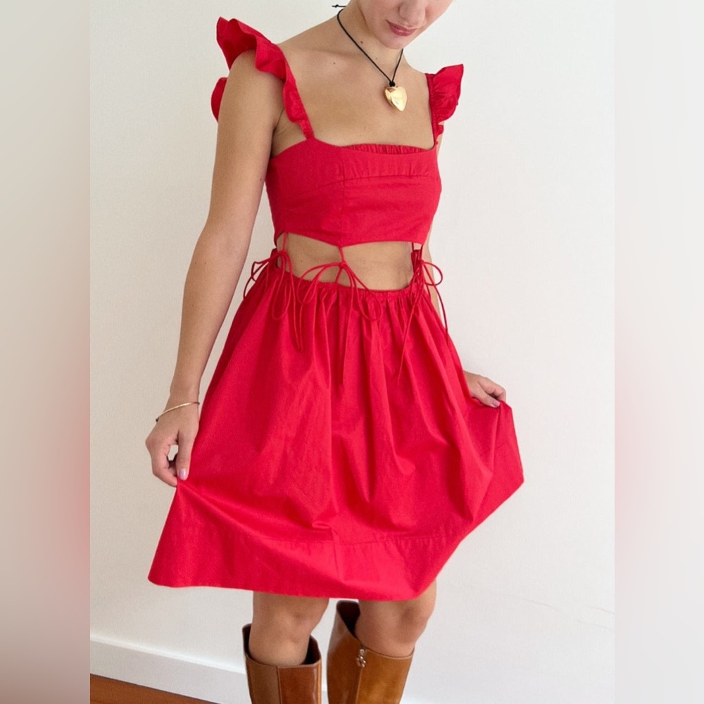 Lisa Says Gah z Allina Liu Tomago Dress size large NWT